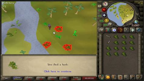 Clean it. . Snake weed osrs